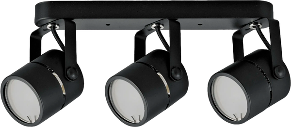 Изображение товара Спот Truenergy 21356 (с лампами General Lighting 661462 3шт)