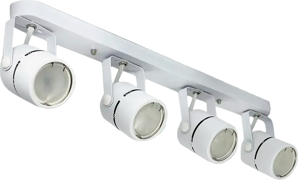 Изображение товара Спот Truenergy 21359 (с лампами General Lighting 661462 4шт)