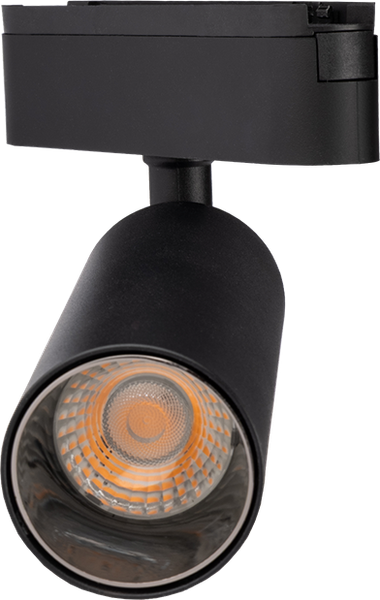 Изображение товара Трековый светильник JAZZway MTR16 2116 16Вт 3000К / 5056619
