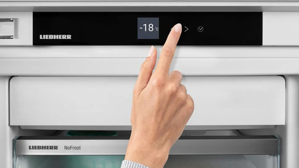 Изображение товара Холодильник без морозильника Liebherr RDsfd 5220-22 001