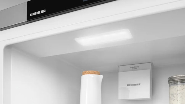 Изображение товара Холодильник без морозильника Liebherr Rsfd 5220-22 001