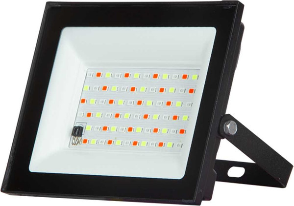 Изображение товара Прожектор JAZZway PFL RGB-RC / 5064157