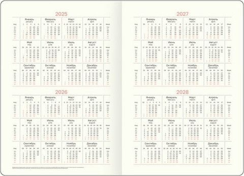 Изображение товара Ежедневник BG Scale. Taupe А5 / DuA5_61350 (136л)