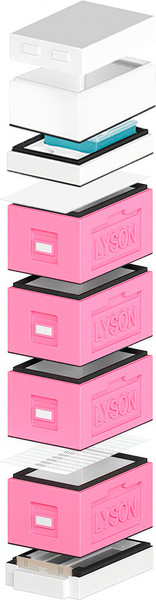 Изображение товара Улей Lyson Рут На 6 Рамок / WDD128PW (розовый/неокрашенный)