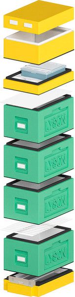 Изображение товара Улей Lyson Рут На 6 Рамок / WDD134 (зеленый/желтый)