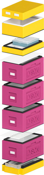 Изображение товара Улей Lyson Рут На 6 Рамок / WDD131 (фиолетовый/желтый)