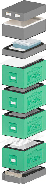 Изображение товара Улей Lyson Рут На 6 Рамок / WDD141 (зеленый/серый)