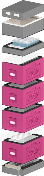 Изображение товара Улей Lyson Рут На 6 Рамок / WDD138 (фиолетовый/серый)