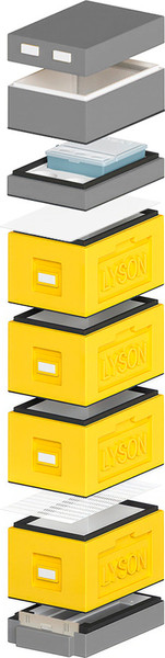 Изображение товара Улей Lyson Рут На 6 Рамок / WDD136 (желтый/серый)