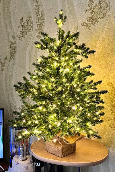 Изображение товара Ель искусственная National Tree Company Венера премиум 65см / ВНР/ПР-65