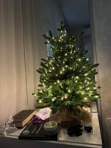 Изображение товара Ель искусственная National Tree Company Венера премиум 65см / ВНР/ПР-65