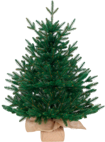 Изображение товара Ель искусственная National Tree Company Венера премиум 75см / ВНР/ПР-75