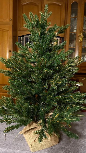 Изображение товара Ель искусственная National Tree Company Венера премиум 75см / ВНР/ПР-75