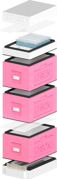 Изображение товара Улей Lyson Рут На 6 Рамок / WDD04PW (розовый/неокрашенный)