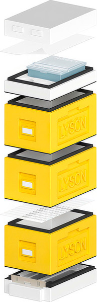 Изображение товара Улей Lyson Рут На 6 Рамок / WDD04YW (желтый/неокрашенный)