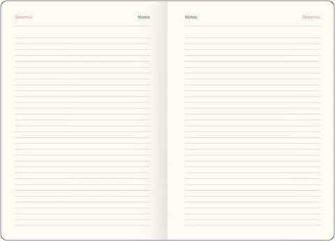 Изображение товара Ежедневник BG Python. Graphite 2026г А5 / DdА5_09399 (176л)