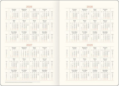 Изображение товара Ежедневник BG Python. Graphite 2026г А5 / DdА5_09399 (176л)