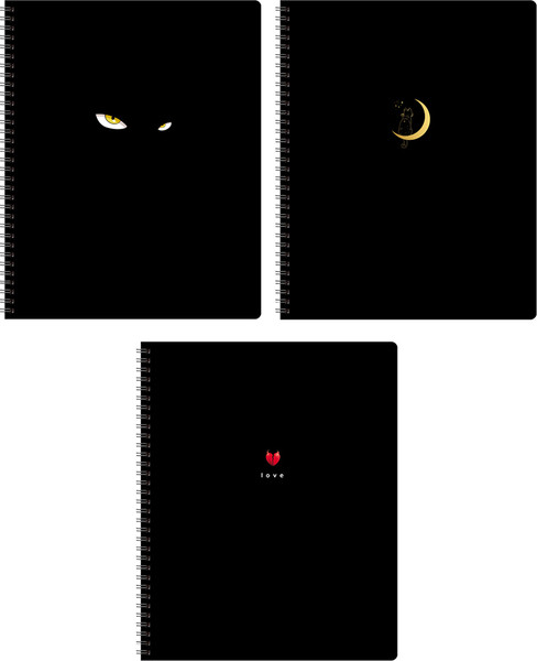 Изображение товара Тетрадь BG In black А5 / Т5гр80_2_вл 12074 (80л)