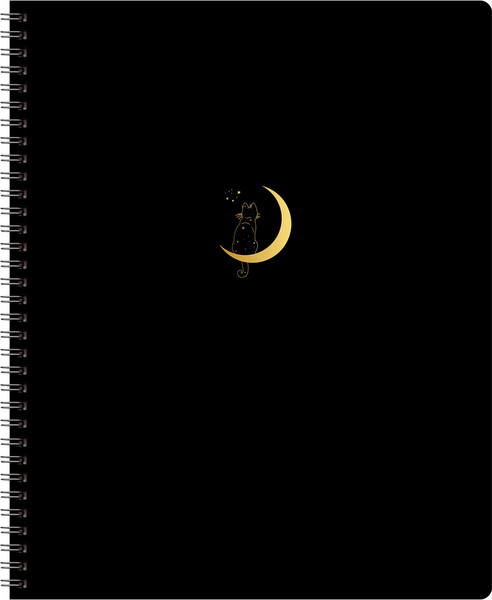 Изображение товара Тетрадь BG In black А5 / Т5гр80_2_вл 12074 (80л)