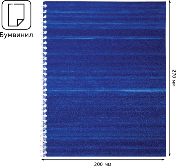 Изображение товара Тетрадь BG  А4 / Т4гр_бв96к_12345 (96л)