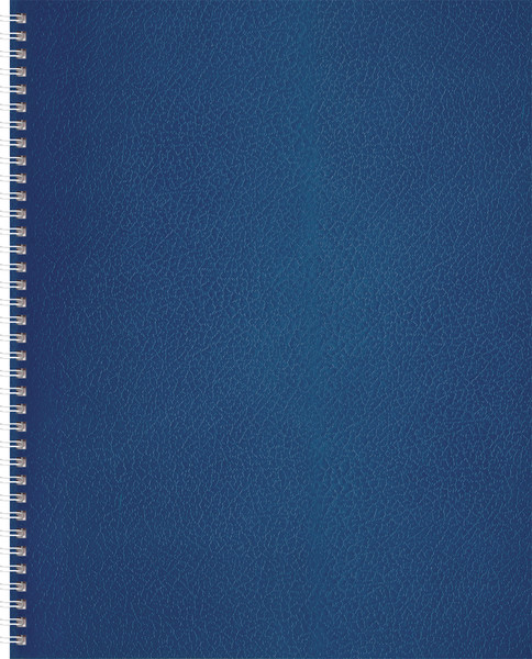 Изображение товара Тетрадь BG  А4 / Т4гр_бв96к_12345 (96л)