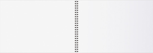 Изображение товара Альбом для рисования BG Минимализм А4 / АР4гр48_тф 08648 (48л)