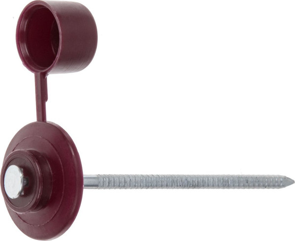 Изображение товара Гвоздь кровельный Starfix SMP5-74397-100