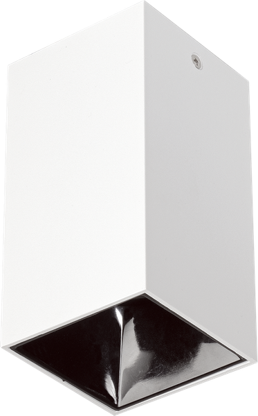 Изображение товара Точечный светильник JAZZway PDL-S 14074 GU10 WH/BL 230V IP20 / 5031449