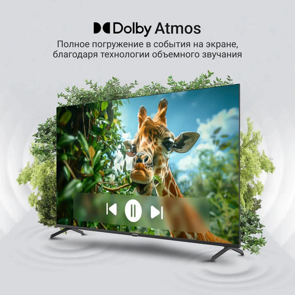 Изображение товара Телевизор Digma 65" DM-LED65UQB31 (черный)