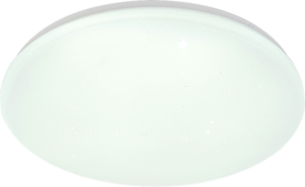 Изображение товара Потолочный светильник ESCADA 10213/SG LED (белый)