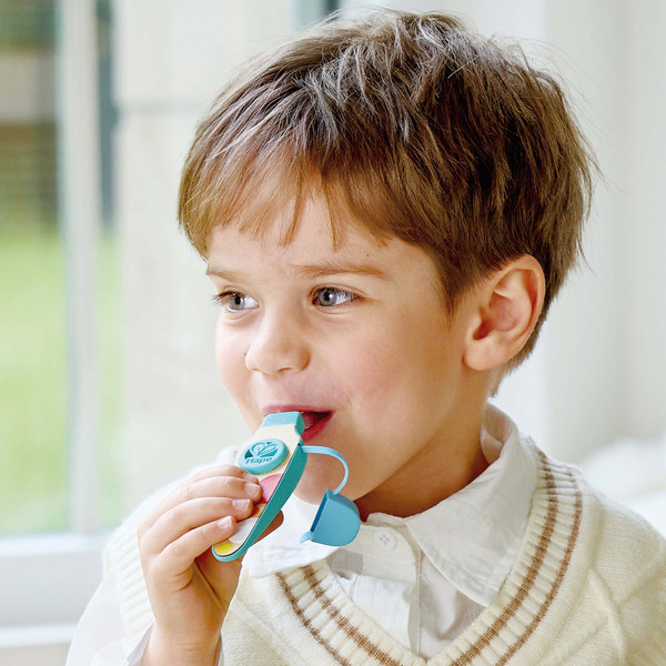 Изображение товара Музыкальная игрушка Hape Волшебный звук Карманный Казу / E0643_HP