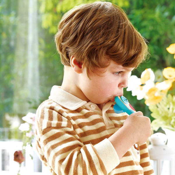 Изображение товара Музыкальная игрушка Hape Волшебный звук Карманный Казу / E0643_HP