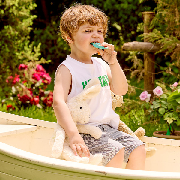 Изображение товара Музыкальная игрушка Hape Волшебный звук Карманный Казу / E0643_HP