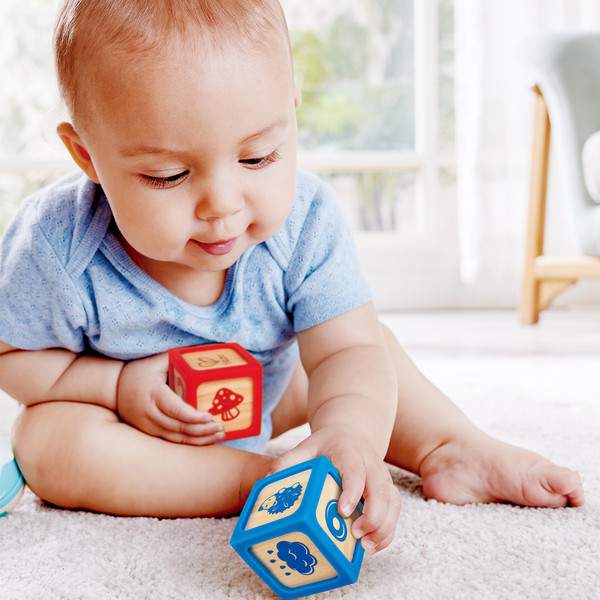 Изображение товара Развивающий игровой набор Hape Кубики E0132_HP