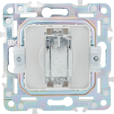 Изображение товара Розетка IEK Skandy SK-A10-O-K23 (серебристый)