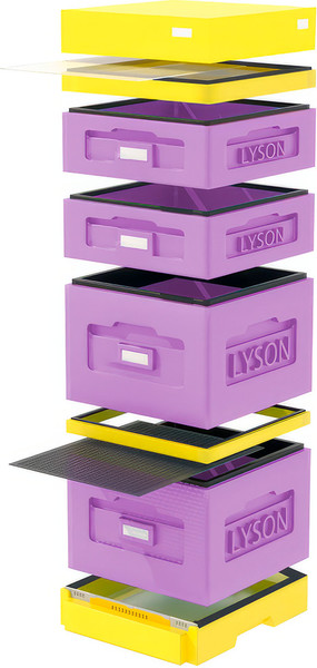 Изображение товара Улей Lyson Дадан На 10 Рамок / W1025PU (фиолетовый/желтый)