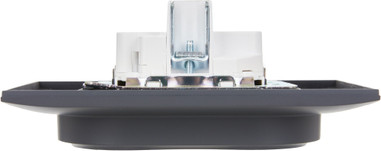 Изображение товара Розетка IEK Skandy SK-R24-16-K48-F (титан)