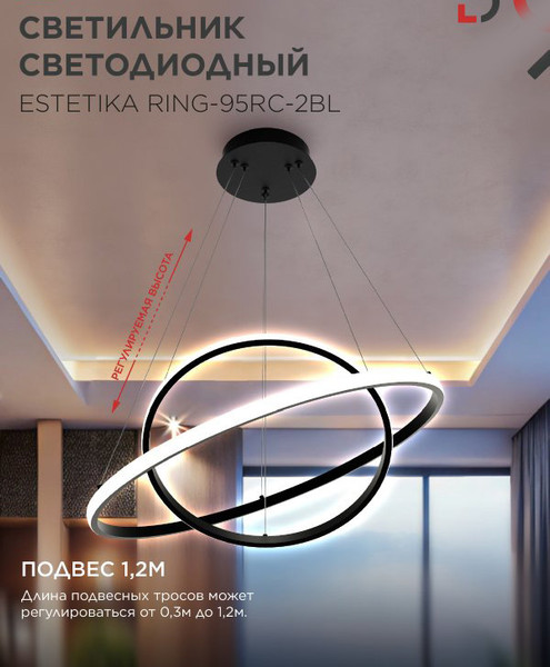 Изображение товара Потолочный светильник INhome Estetika Ring-95RC-2BL / 4690612062501