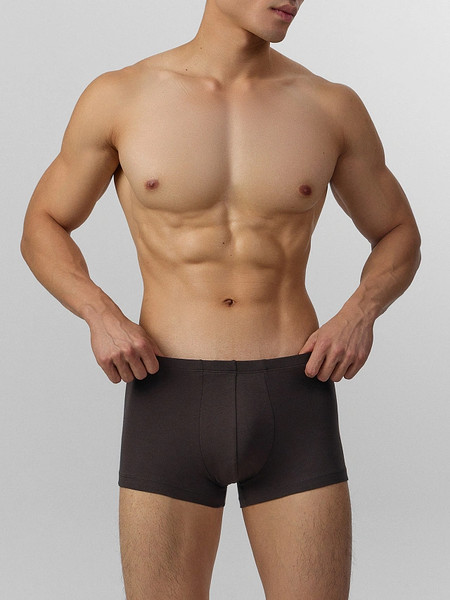 Изображение товара Трусы мужские Mark Formelle 411122 (р.94-104, коричневый)