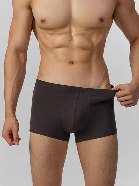 Изображение товара Трусы мужские Mark Formelle 411122 (р.94-104, коричневый)