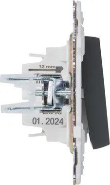 Изображение товара Выключатель IEK Skandy SK-V10-0-10-K53 (графит)