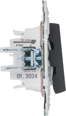 Изображение товара Выключатель IEK Skandy SK-V22-1-10-K53 (графит)