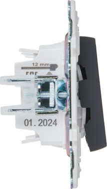 Изображение товара Выключатель IEK Skandy SK-V22-0-10-K53 (графит)