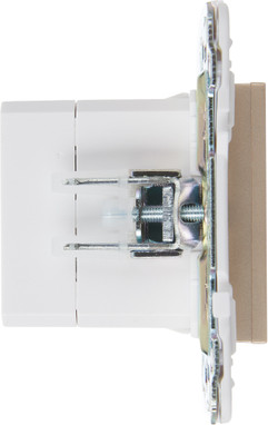 Изображение товара Розетка IEK Skandy SK-U22-D31-K37 (шампань)