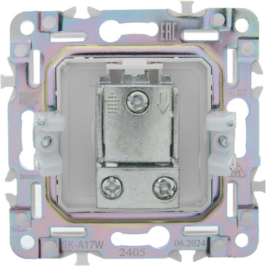 Изображение товара Розетка IEK Skandy SK-A10-P-K01 (арктический белый)