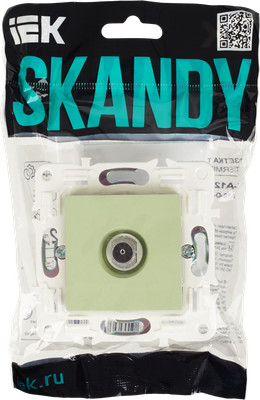 Изображение товара Розетка IEK Skandy SK-A10-O-K06 (мятный)