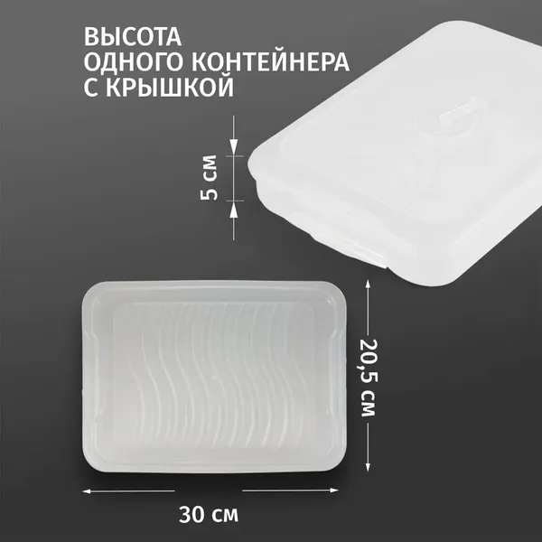 Изображение товара Контейнер Runis 300х205х150мм / 15-13 (прозрачный)