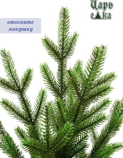 Изображение товара Ель искусственная Царь елка Сапфир / СФ-215