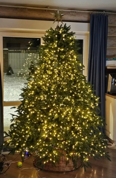 Изображение товара Ель искусственная Царь елка Раскидистая премиум / РДП-180