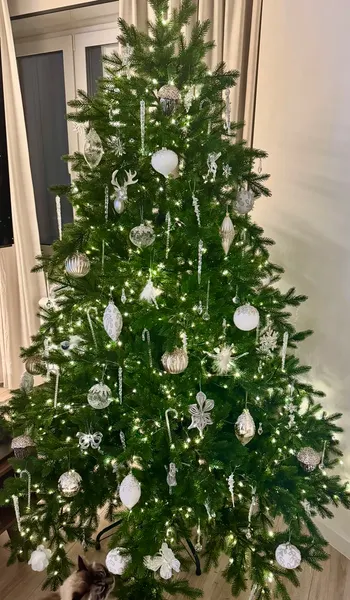 Изображение товара Ель искусственная Царь елка Астерия премиум 210 см 3D АСТР/ПР-210